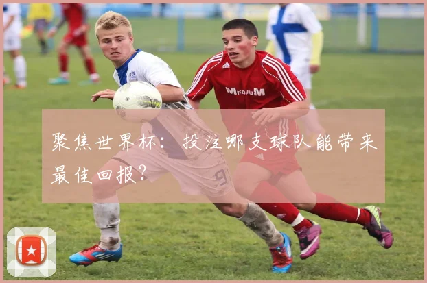 聚焦世界杯：投注哪支球队能带来最佳回报？
