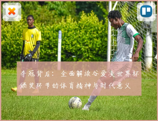 夺冠背后：全面解读谷爱凌世界杯颁奖环节的体育精神与时代意义