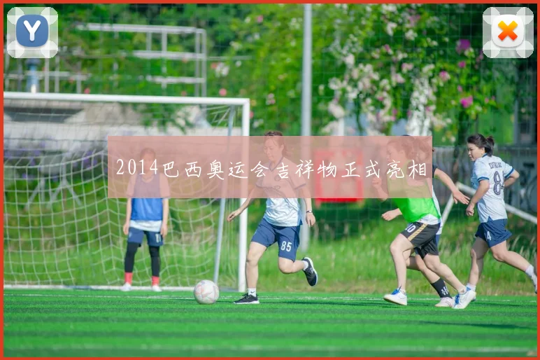 2014巴西奥运会吉祥物正式亮相